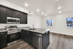 Kitchen with stainless steel appliances, dark cabinets, light stone counters, a peninsula, and recessed lighting