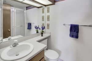 Full bathroom with vanity, toilet, and a shower with door