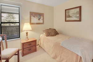 Bedroom featuring light carpet