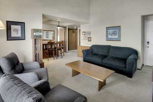 Living area featuring light colored carpet and a high ceiling