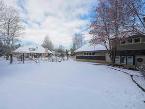 View  of west end huge garden with deer fencing-savor a home grown BLT sandwich