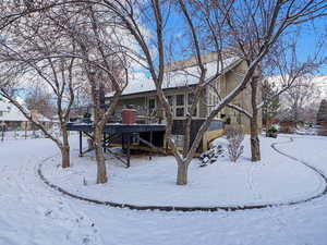Contemporay Steel and cable rail, deck and landscaping