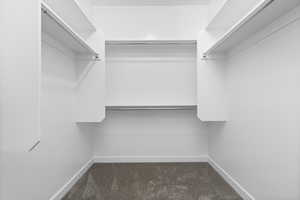 Spacious closet featuring carpet