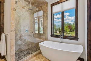 Full bathroom with a soaking tub, a stall shower, and healthy amount of natural light