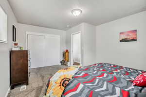 Carpeted bedroom with a closet and a textured ceiling
