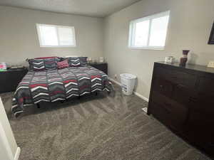 Carpeted bedroom featuring multiple windows and a textured ceiling