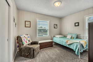 Carpeted bedroom with multiple windows and a textured ceiling