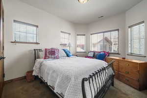 Bedroom featuring visible vents, baseboards, and carpet