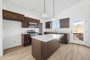 Kitchen with dark brown cabinetry, appliances with stainless steel finishes, vaulted ceiling, and light wood-type flooring
