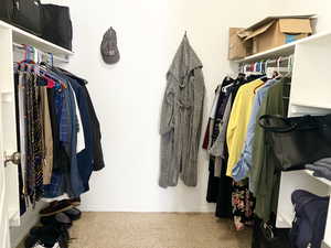 Spacious closet featuring carpet floors