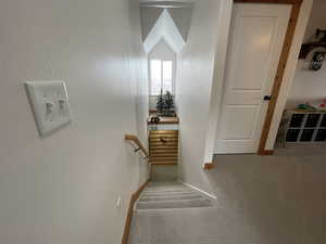 Staircase featuring carpet flooring and baseboards