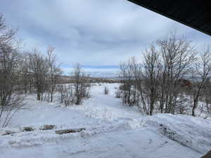 View of snowy yard