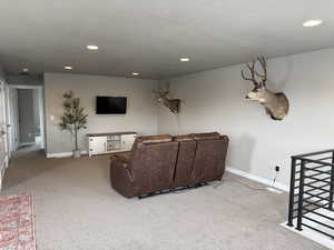 Living room with carpet flooring, baseboards, and a textured ceiling