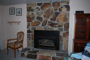 Room details with a stone fireplace and carpet