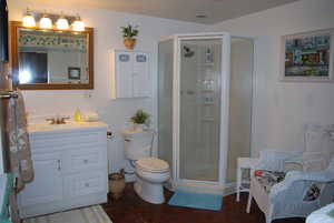 Full bathroom with vanity, toilet, and a stall shower