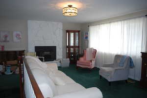 Living room featuring carpet and a fireplace