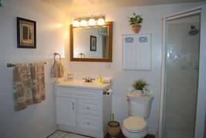 Bathroom featuring vanity, toilet, and a stall shower