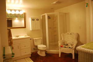 Full bath featuring visible vents, a shower stall, toilet, and vanity