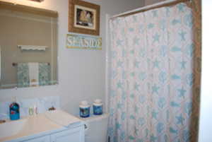 Full bathroom featuring vanity, toilet, and a shower with curtain