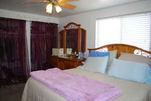 Carpeted bedroom with a ceiling fan