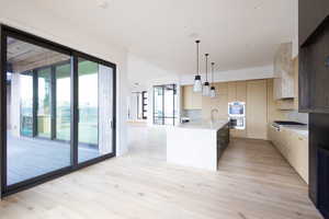 Kitchen with light countertops, stainless steel appliances, a healthy amount of sunlight, and light wood-style floors