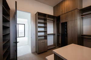 Walk in closet with carpet