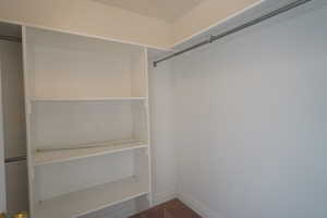 View of walk in closet