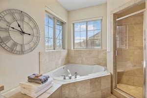 Bathroom with a bath, a healthy amount of sunlight, and a shower stall