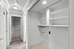 Clothes washing area featuring washer hookup, laundry area, light colored carpet, baseboards, and ornamental molding
