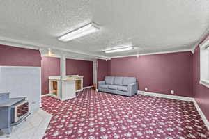 Interior space featuring carpet floors, a wood stove, a textured ceiling, and visible vents