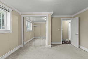 Unfurnished bedroom featuring carpet floors, ornamental molding, baseboards, and a closet