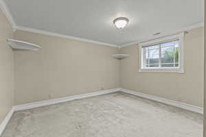 Spare room featuring carpet floors and ornamental molding