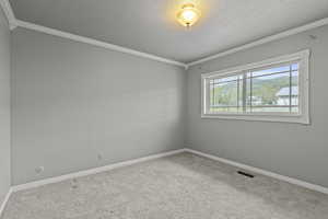 Carpeted spare room with crown molding, baseboards, and visible vents