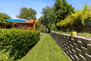 View of grassy yard