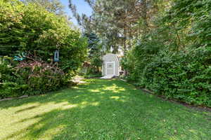 View of green lawn with a shed
