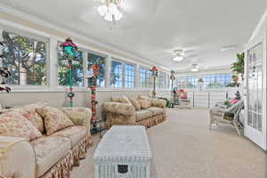 Sunroom / solarium with carpet floors and ornamental molding