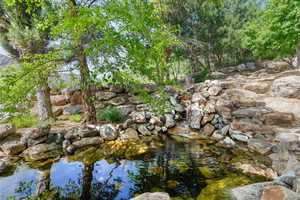 View of undeveloped land