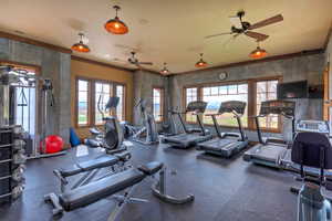 Workout area featuring ceiling fan and visible vents