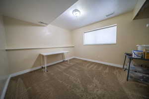 Below grade area featuring visible vents, a textured ceiling, baseboards, and carpet floors
