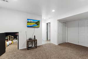 Basement Family Room w/ hidden play area