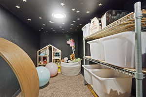 Hidden play area or storage area