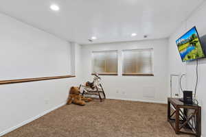 Basement Family Room