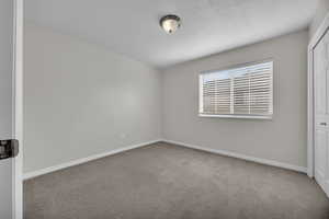 Unfurnished bedroom featuring baseboards, a closet, carpet flooring, and a textured ceiling
