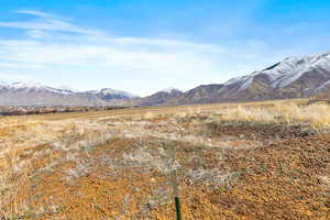Over 2 acres of land and zoned for animal rights