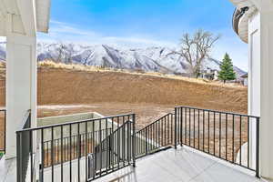 Views of the backyard