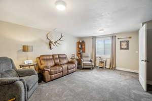 Living room featuring baseboards, carpet flooring, and a textured ceiling