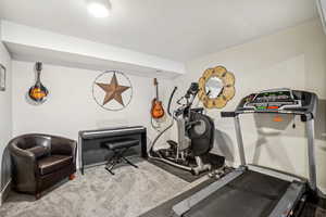 Workout room featuring baseboards and carpet flooring