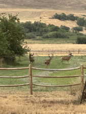View of yard with fence and a rural view
