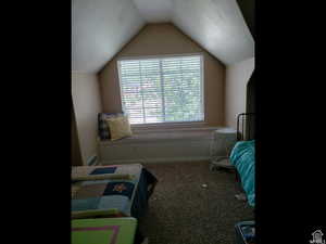 Bedroom with carpet flooring and vaulted ceiling