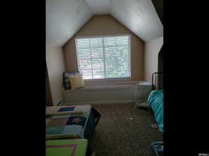 Bedroom featuring visible vents, carpet, lofted ceiling, and baseboards